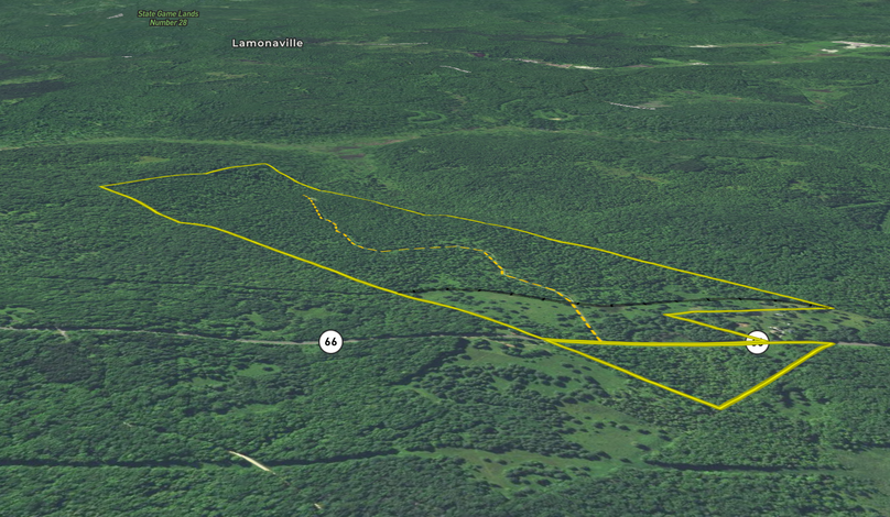 Screen shot 2021-06-25 at 4.15.35 pm