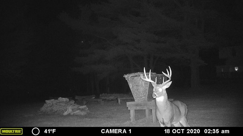 Buck1