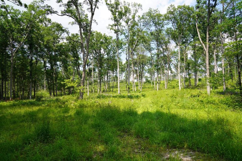 Eauclaire163kunz-009