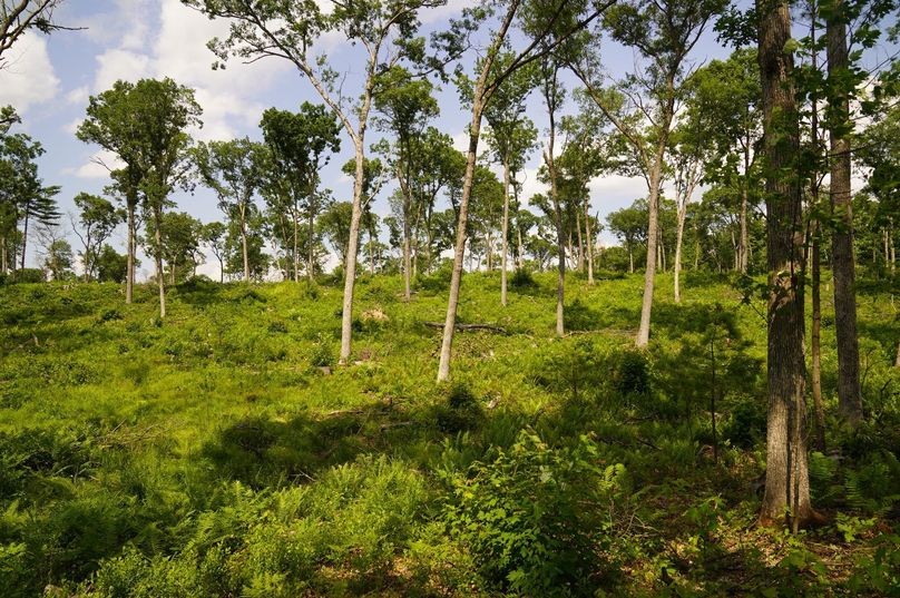 Eauclaire163kunz-014