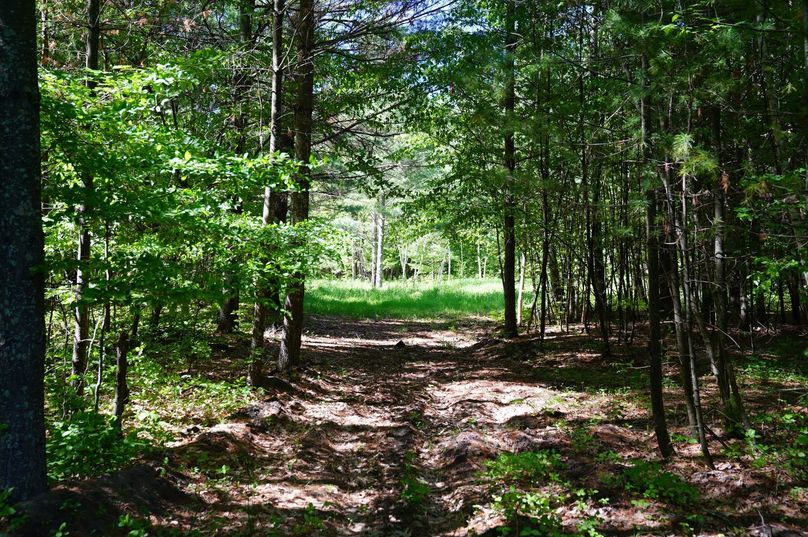 Eauclaire163kunz-015