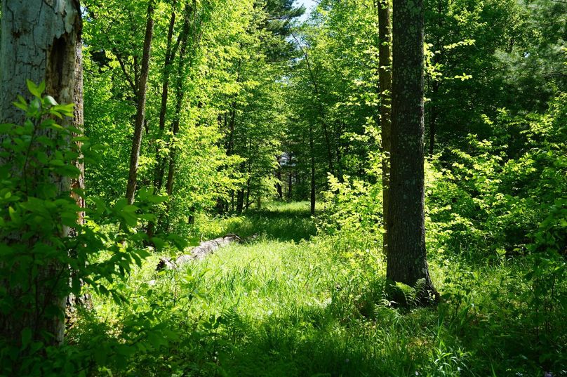 Eauclaire163kunz-016