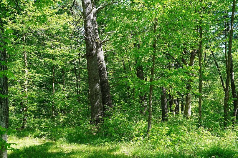 Eauclaire163kunz-017