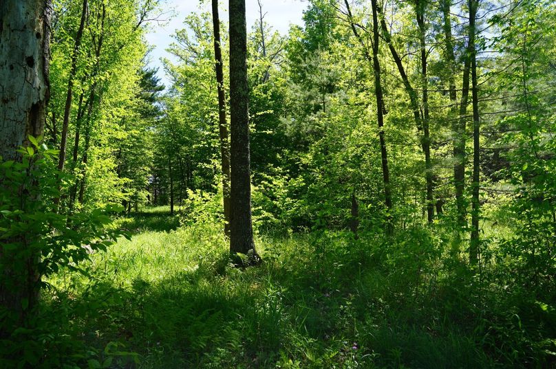 Eauclaire163kunz-018