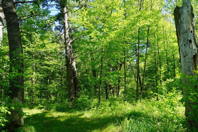 Eauclaire163kunz-019