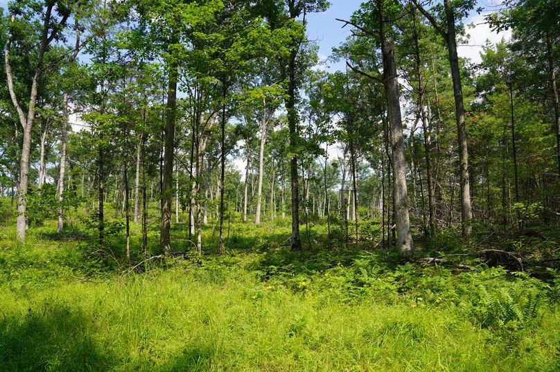 Eauclaire163kunz-010