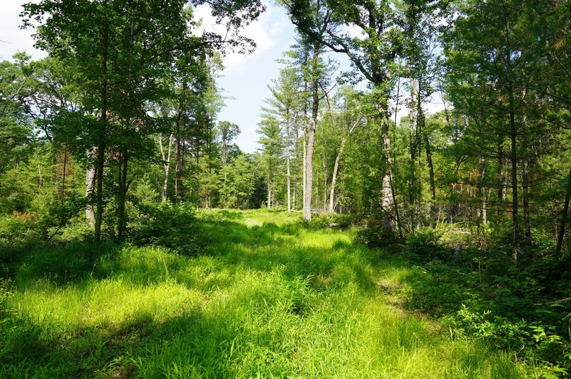 Eauclaire163kunz-011