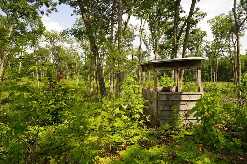 Eauclaire163kunz-012