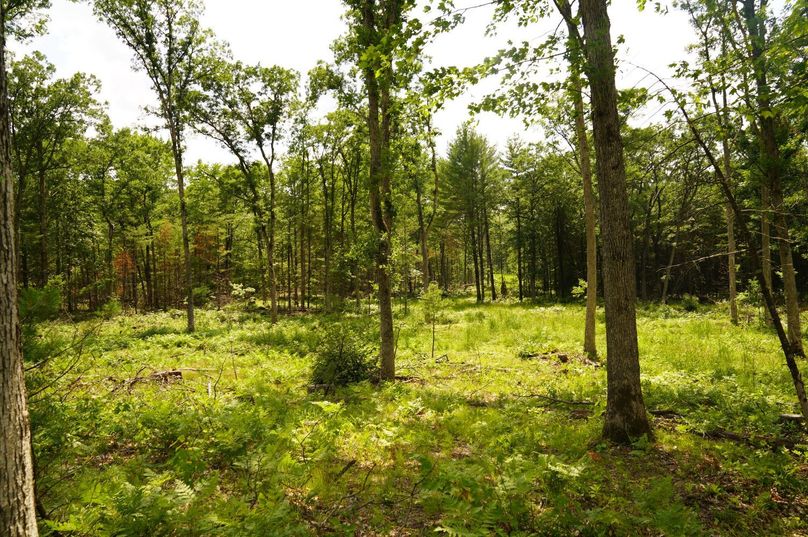 Eauclaire163kunz-013