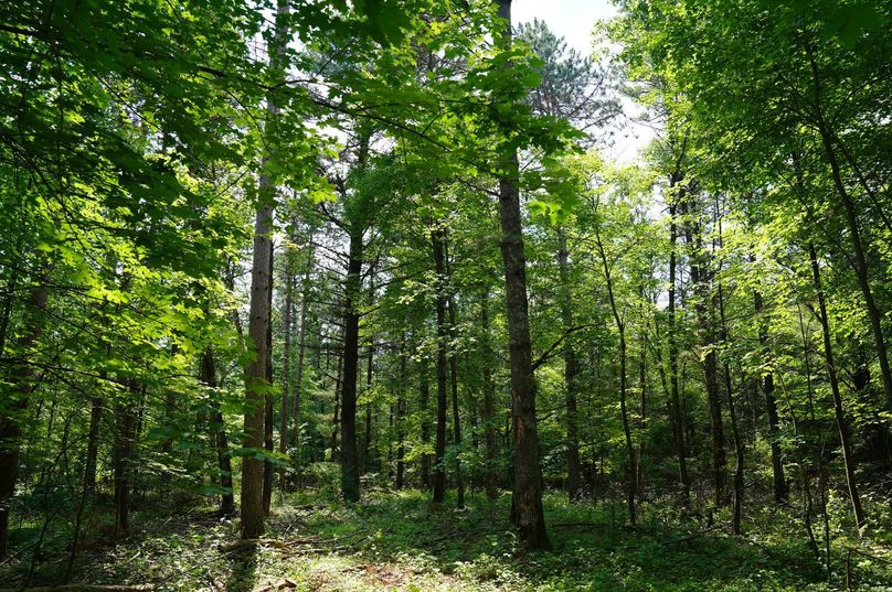 Eauclaire163kunz-024