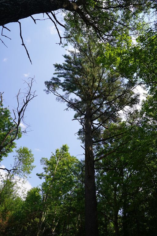 Eauclaire163kunz-025