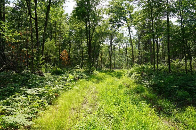 Eauclaire163kunz-026