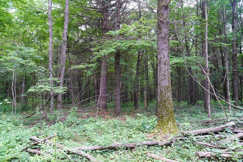 Eauclaire163kunz-021