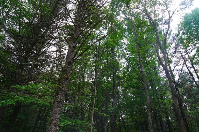 Eauclaire163kunz-022