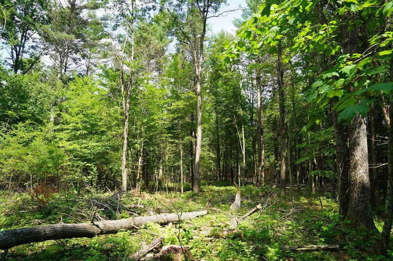 Eauclaire163kunz-023