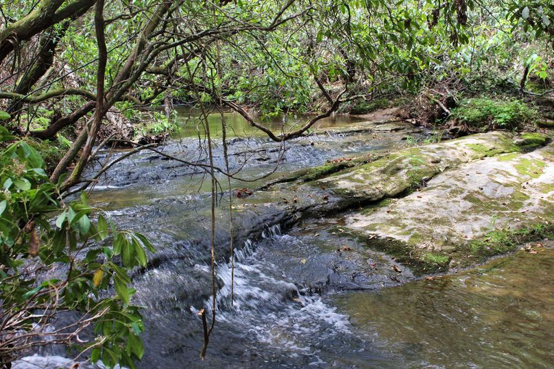 Creek 5