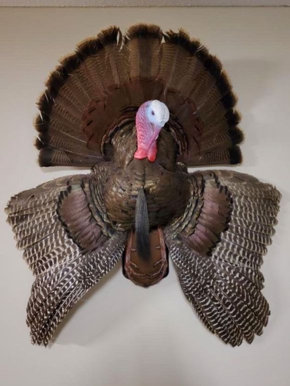 34 turkey mount
