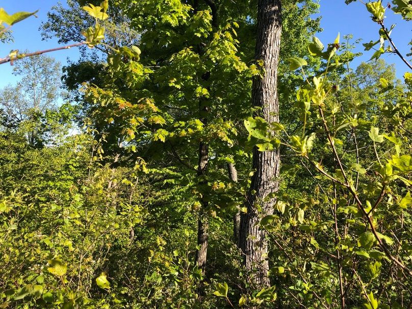 A440a2bf-1799-4101-9201-daace06b27cd 1 105 c