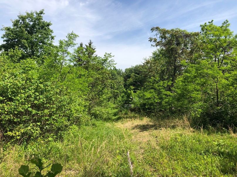 A93c3fee-a9b5-4406-80a9-9b2d42b09e31 1 105 c