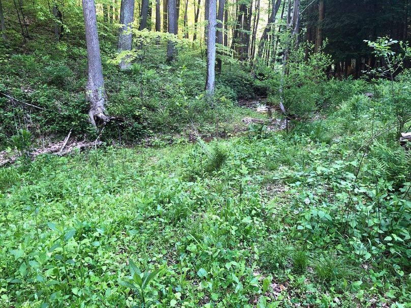 B6a211ff-6b36-46c8-b530-3c60ed213785 1 105 c