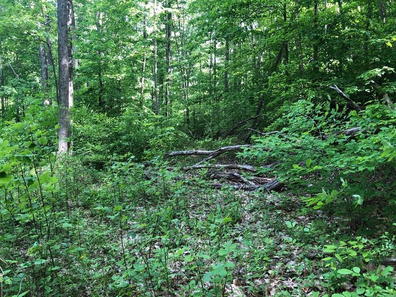 Bf0bf4b7-b67b-4e0c-acba-f726bdd922a0 1 105 c