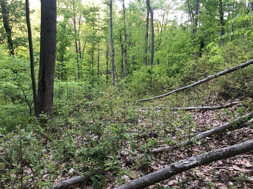 C4a4d0ec-73e1-48ad-a0ea-11aec070f97d 1 105 c