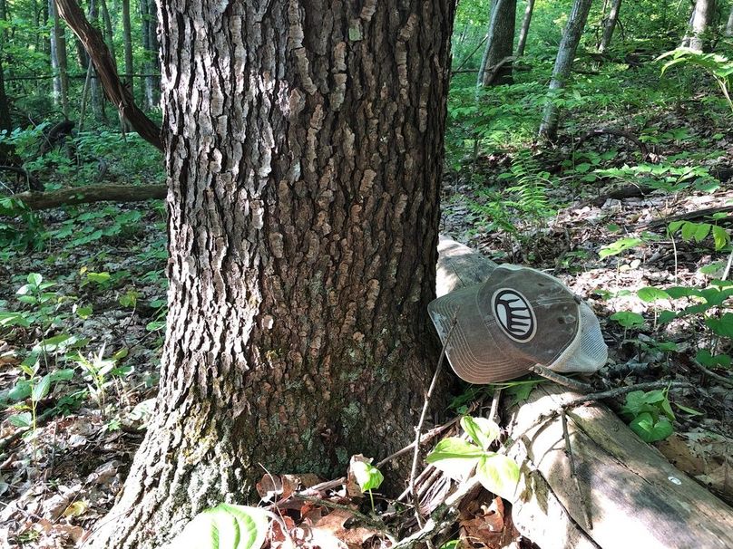 C6cc7453-72b7-49ab-a885-59b513fe3efa 1 105 c