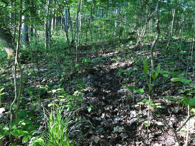 C6c7ee08-c680-433e-ad4a-55e6aa4bfe8b 1 105 c