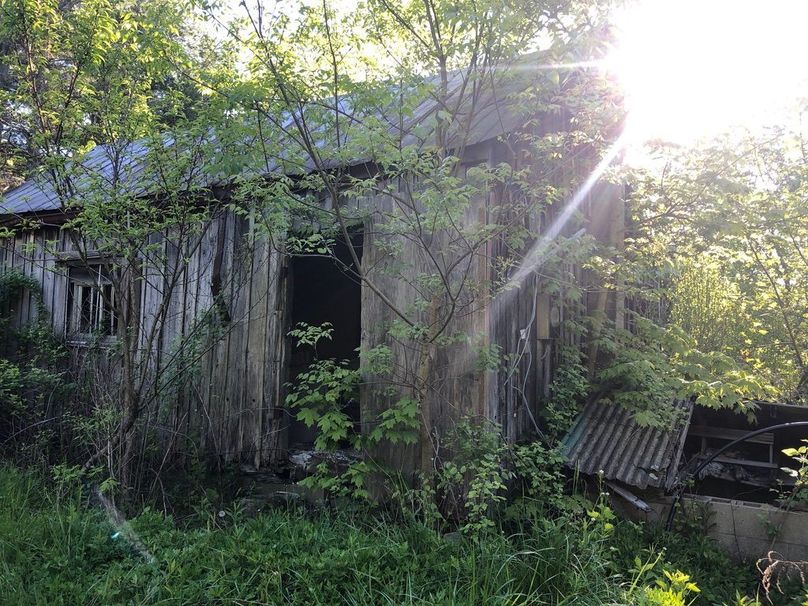 C912364d-6dcc-487a-b977-759f0cab6fcb 1 105 c