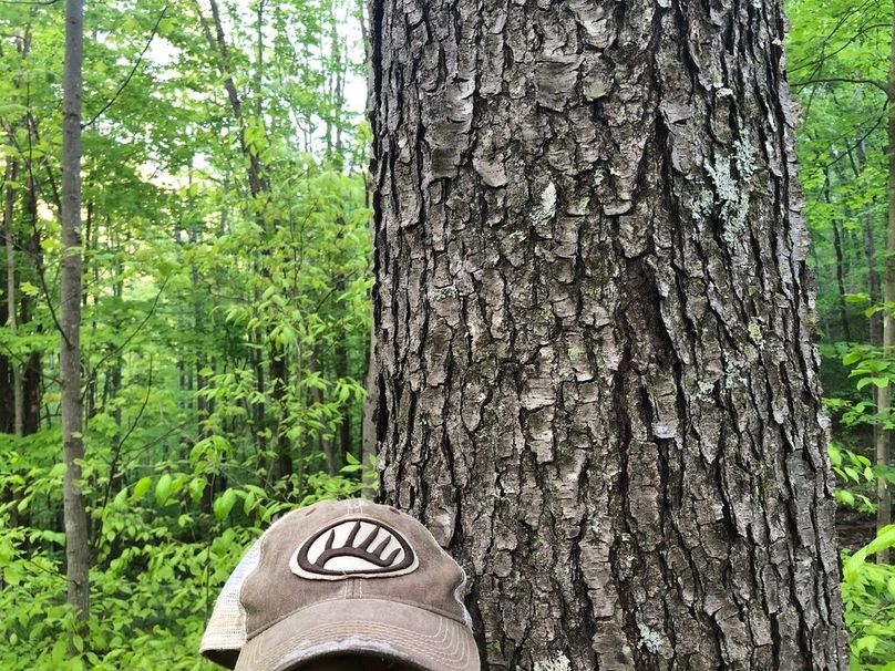 D896ab8b-27a4-4879-aefc-571f7a194576 1 105 c