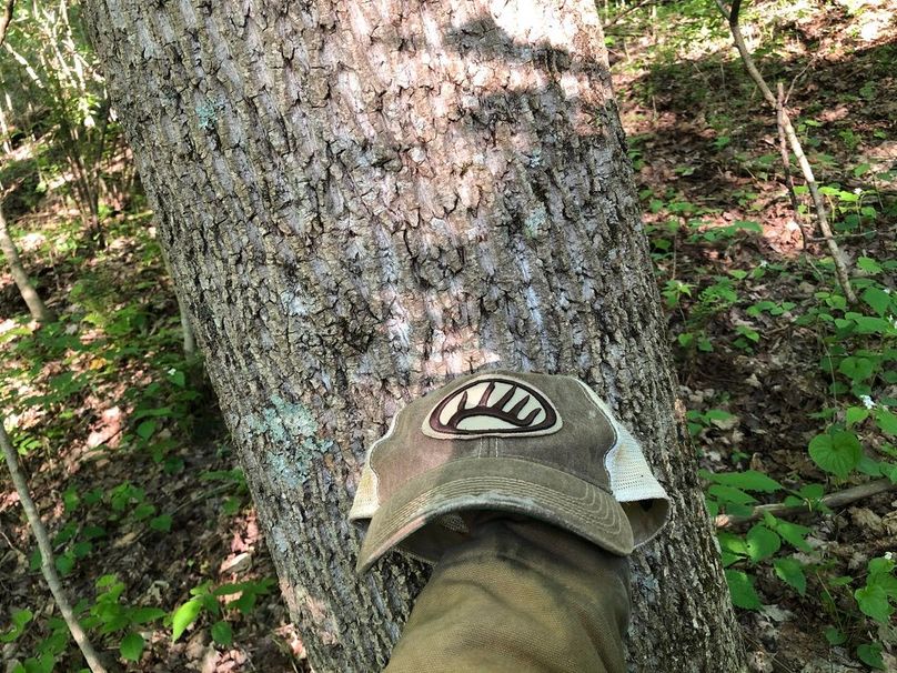 Dadae258-f25b-4ddc-a4a4-d6a86ce1e669 1 105 c