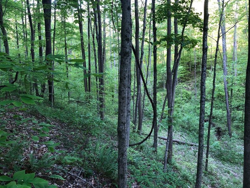 E66cf2a3-080d-4164-a571-08aa04e45d6b 1 105 c