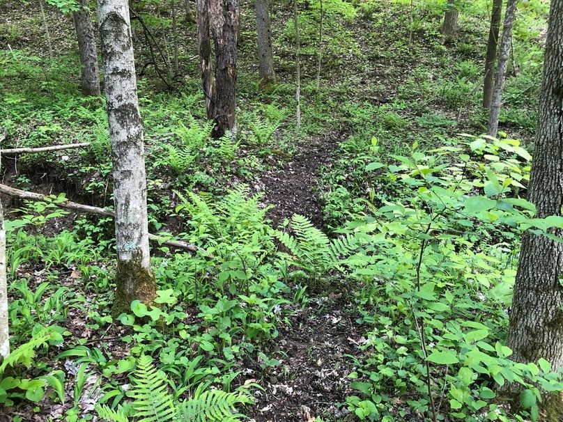 E386bdca-73c9-4349-a3fd-4b9c210fa4c1 1 105 c