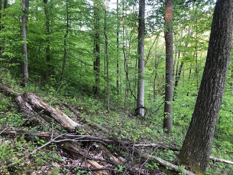 Eca229aa-d4c2-4a14-81d9-98b113785e74 1 105 c