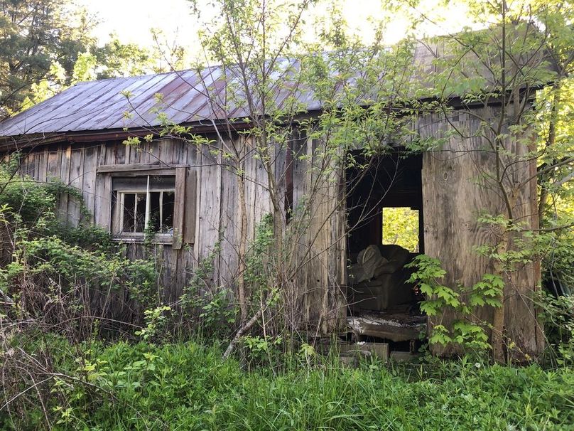 F4af39f6-aa3b-46d9-9bf4-ea385c7f2f0f 1 105 c