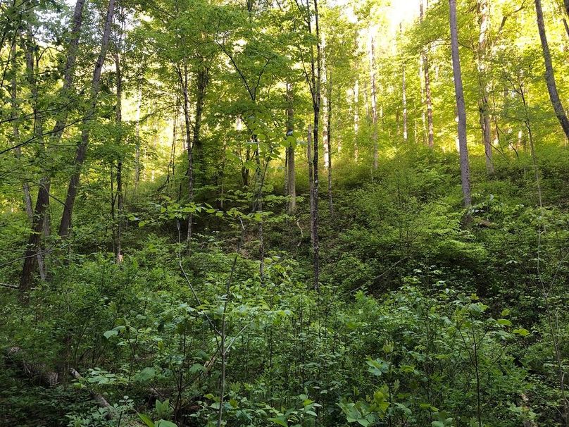 F9da0942-3d9e-467b-9066-196f1fbb8695 1 105 c