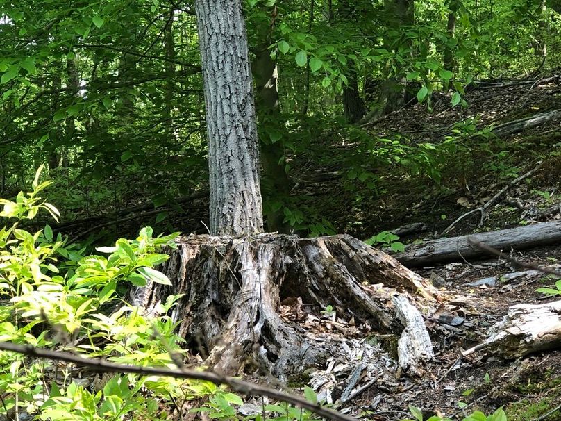 F0d2a4d1-0706-4fad-9846-f79b1bc9da05 1 105 c