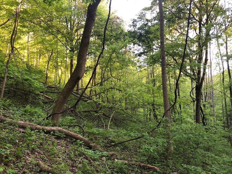 Fcc5d5dc-7434-4156-83ed-fc3bfeb71385 1 105 c