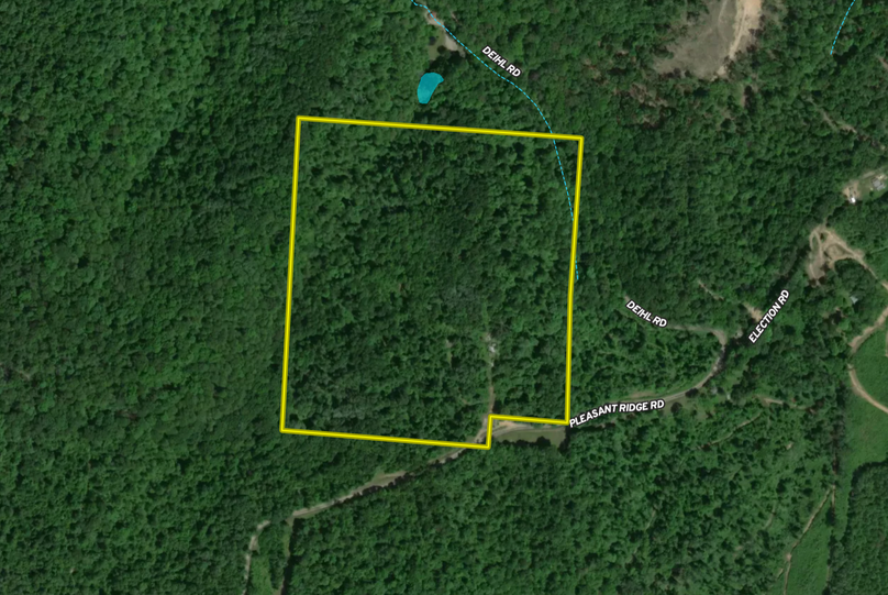 Screen shot 2021-07-02 at 8.48.59 am