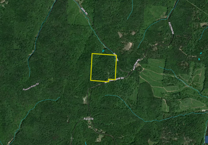 Screen shot 2021-07-02 at 8.50.05 am