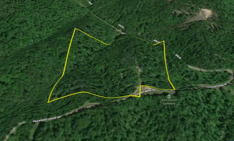 Screen shot 2021-07-02 at 9.27.19 am