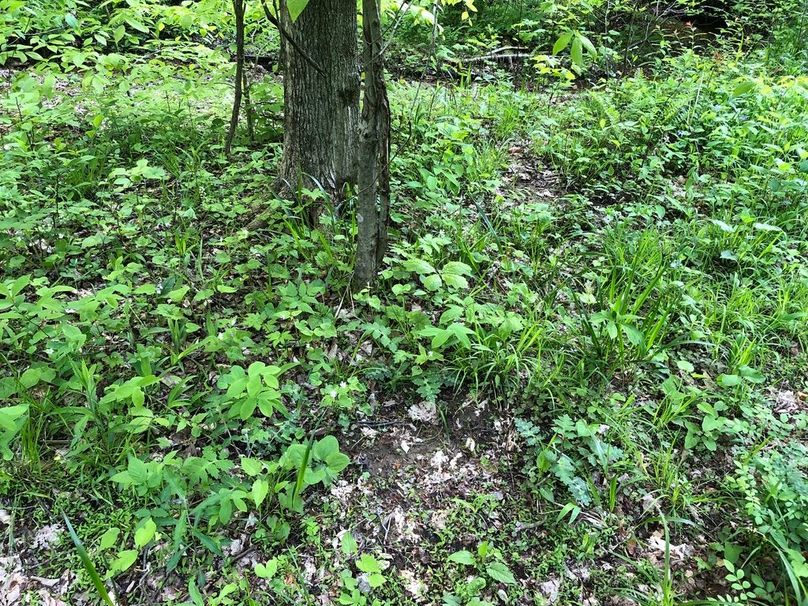 04c24dcd-c768-48ee-8f07-90baee3bd576 1 105 c