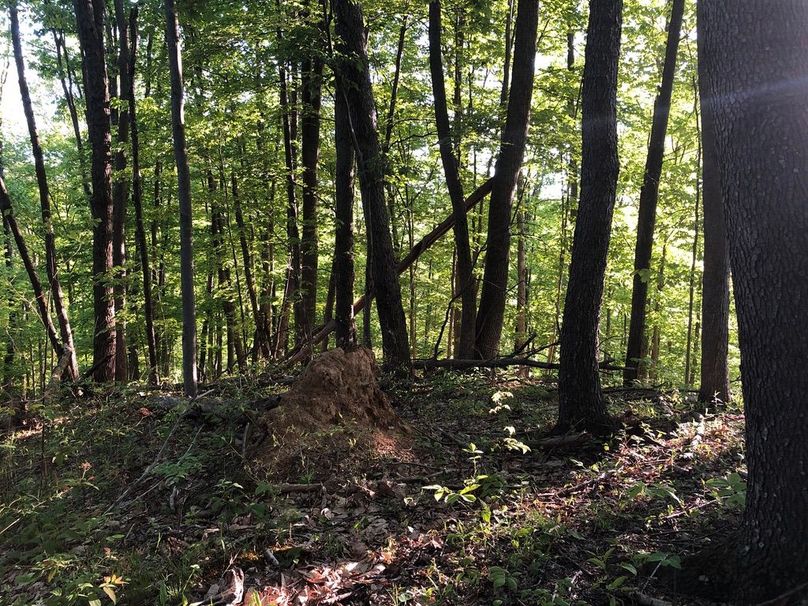 04daa745-1737-4a5c-96a7-c6297ada86dc 1 105 c