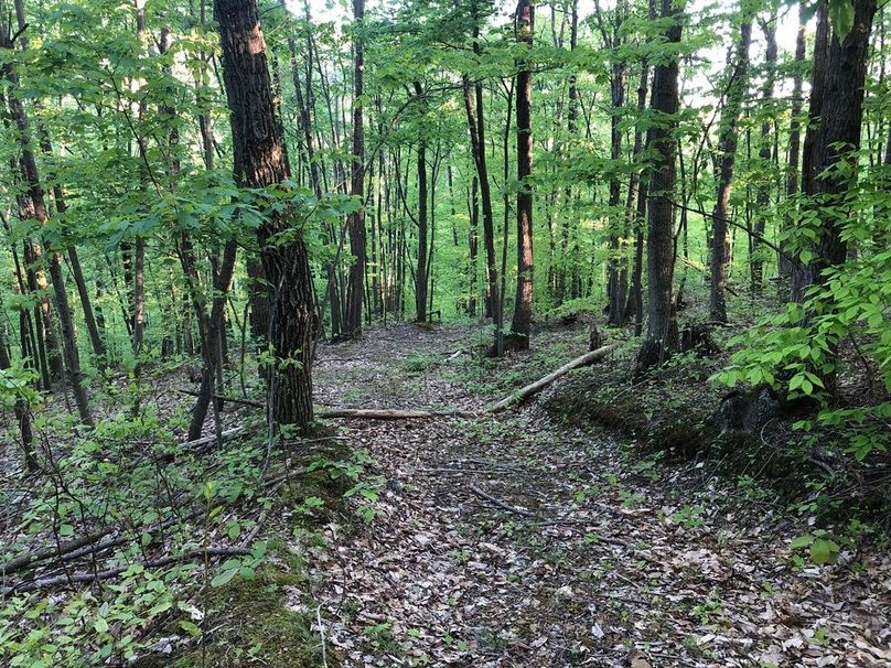 06386a54-ae3a-40f8-9b79-e9e6cd4540b5 1 105 c