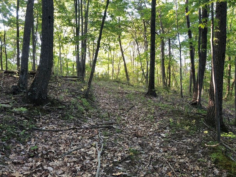 06551534-2d94-4714-8b7c-554ee1f6cda9 1 105 c