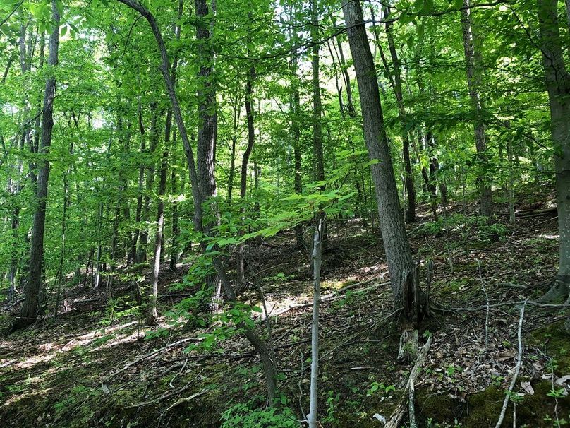 07d156fb-26f7-419a-a65d-8bb79a7a7793 1 105 c