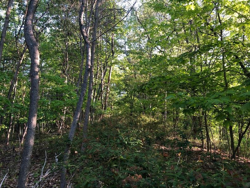 006125ee-c50a-4fa9-a879-8c6273502279 1 105 c