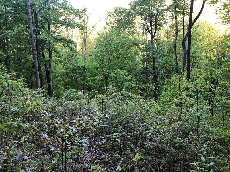 017689e1-ab00-4f7e-9d63-9b0a714f7b5a 1 105 c