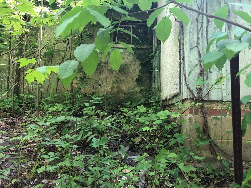 0b51ce1a-a9cc-4e6c-bf84-5d3fa0502b97 1 105 c