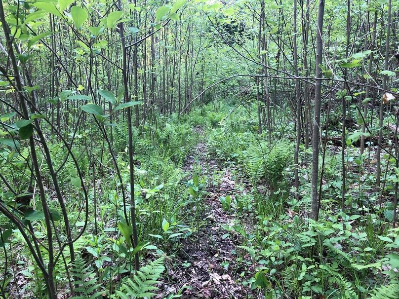 14c2cbb0-06a0-443e-99b9-15b11dd20332 1 105 c